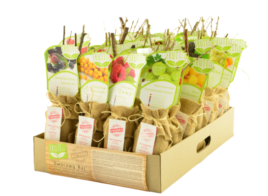 Krzew owocowy Smaki dzieciństwa Eko balot wys. 30-40 cm