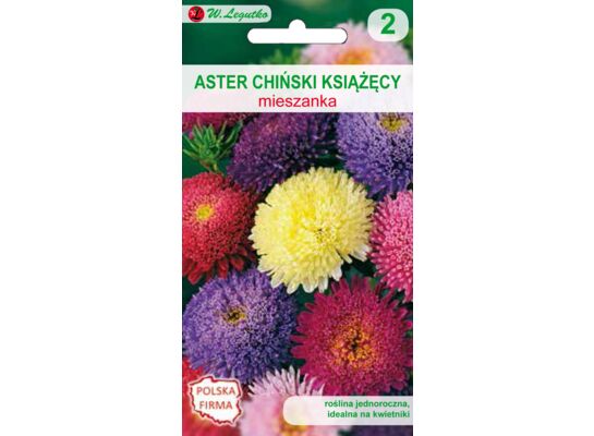 Aster chiński książęcy mieszanka 50-80 cm W.Legutko