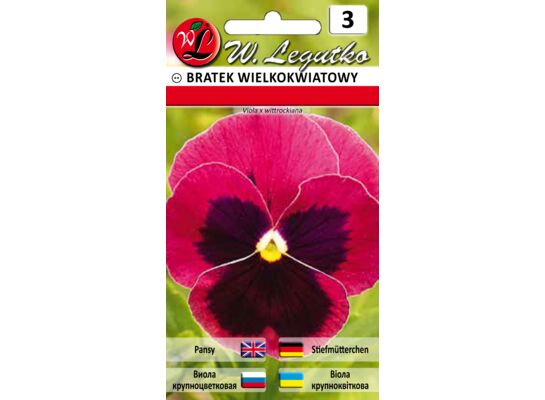 Bratek wielkokwiatowy różowy z plamą 0,5 g gc. 3 W.Legutko