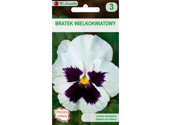 Bratek wielkokwiatowy biały z plamą 0,5 g gc. 3 W.Legutko