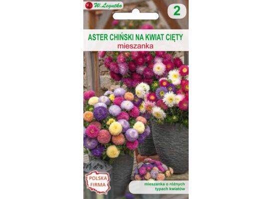 Astry do uprawy na kwiat cięty mieszanka 60-80 cm W.Legutko