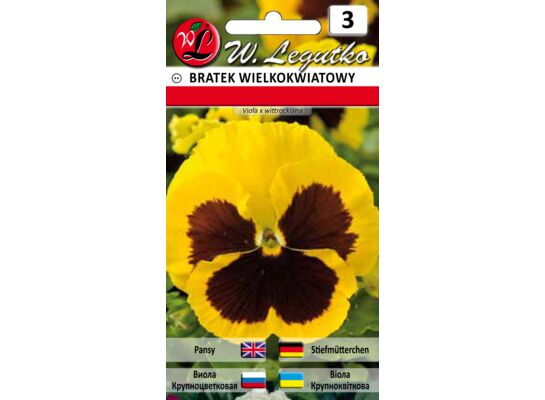 Bratek wielkokwiatowy żółty z plamą 15-20 cm W.Legutko