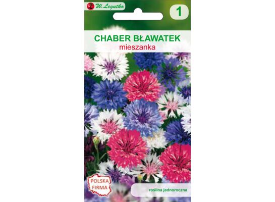 Chaber bławatek mieszanka 80-90 cm W.Legutko