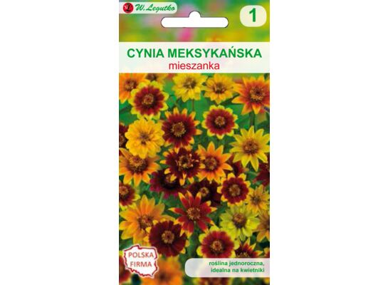 Cynia meksykańska mieszanka 40-50 cm W.Legutko