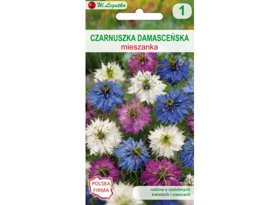 Czarnuszka damasceńska mieszanka 50 cm W.Legutko