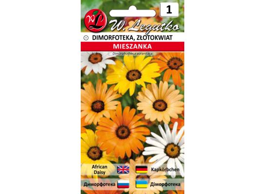 Dimorfoteka mieszanka 20-40 cm W.Legutko