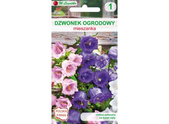 Dzwonek ogrodowy mieszanka 80-90 cm W.Legutko
