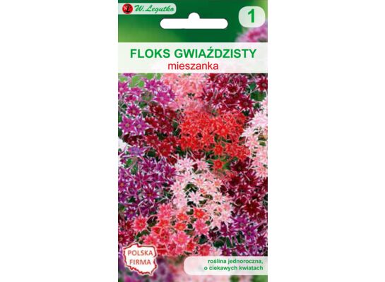 Floks gwiaździsty mieszanka 20-30 cm W.Legutko
