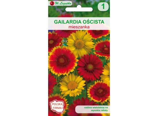 Gailardia oścista mieszanka 60-90 cm W.Legutko