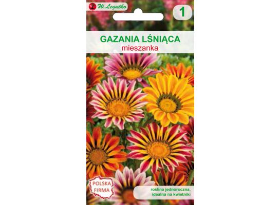 Gazania lśniąca mieszanka 25-30 cm W.Legutko