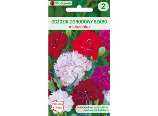 Goździk ogrodowy Szabo mieszanka 40-50 cm W.Legutko