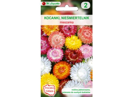 Kocanki, Nieśmiertelnik mieszanka 60-100 cm W.Legutko