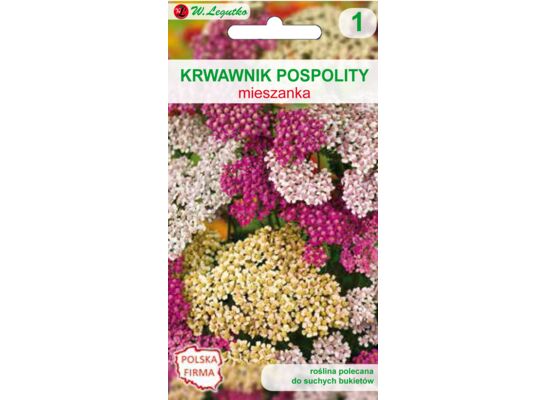 Krwawnik pospolity mieszanka 40-60 cm W.Legutko