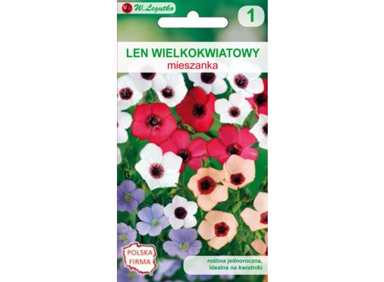 Len wielkokwiatowy mieszanka 40-50 cm W.Legutko