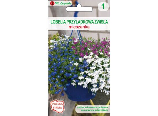 Lobelia przylądkowa zwisła mieszanka 25-30 cm W.Legutko