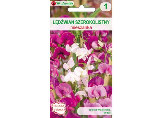Lędźwian szerokolistny mieszanka 200 cm W.Legutko