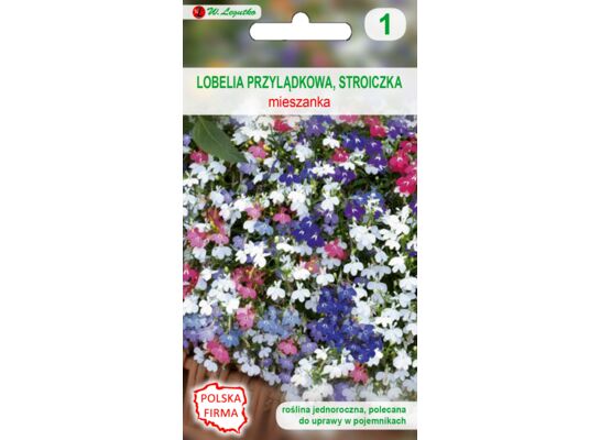 Lobelia przylądkowa, stroiczka mieszanka 25-30 cm W.Legutko