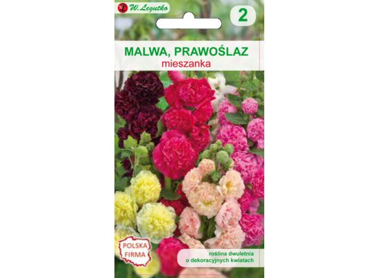 Malwa, Prawoślaz Chater's mieszanka 200-250 cm W.Legutko