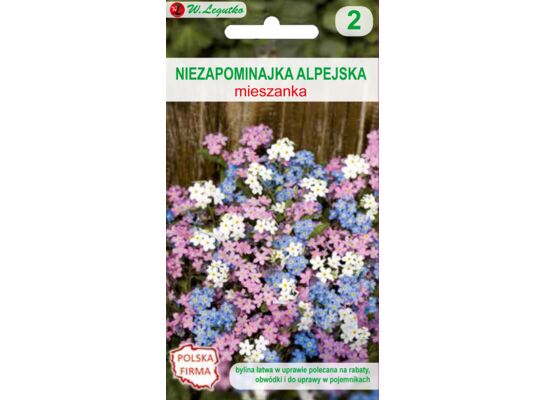 Niezapominajka alpejska mieszanka 15-25 cm W.Legutko