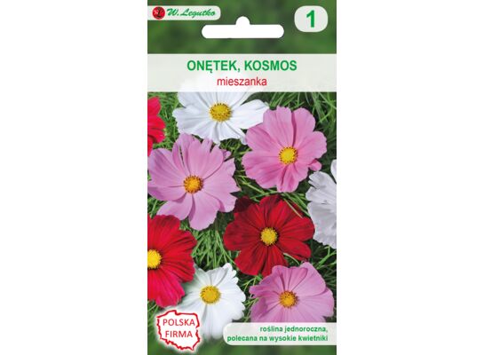 Onętek, Kosmos mieszanka 80-120 cm W.Legutko