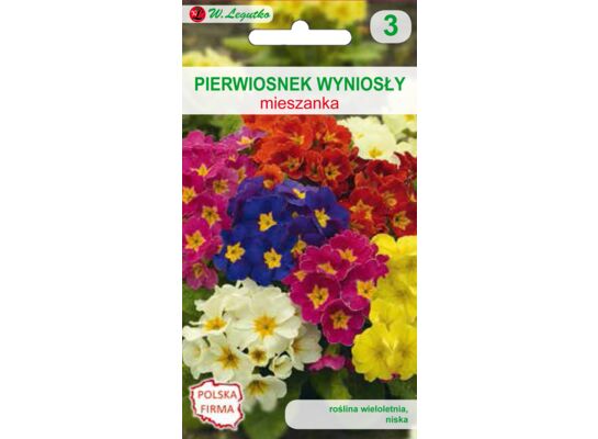 Pierwiosnek wyniosły mieszanka 0,2 g gc. 3 W.Legutko