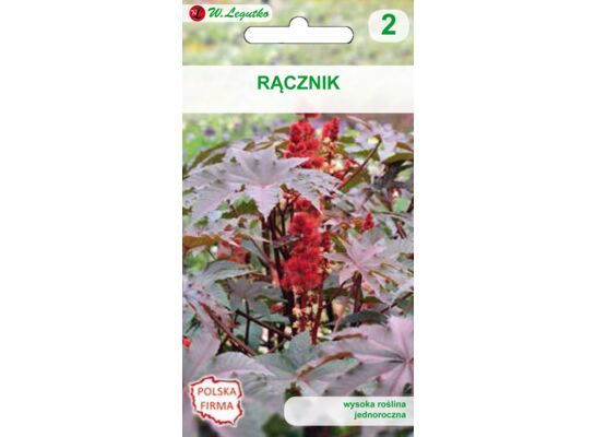 Rącznik czerwonolistny 200 cm W.Legutko