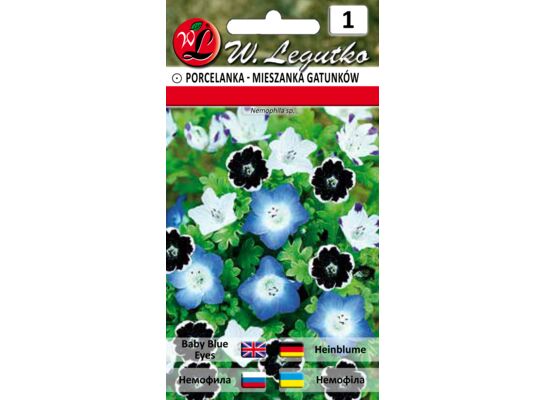 Porcelanka mieszanka gatunków 15-20 cm W.Legutko