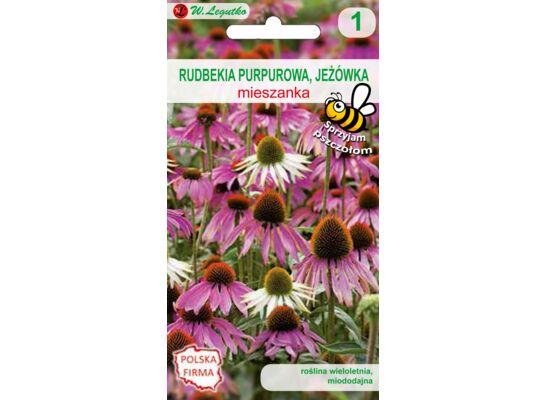 Rudbekia purpurowa mieszanka 90-100 cm W.Legutko