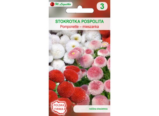 Stokrotka pospolita Pomponette mieszanka 0,1 g gc. 3 W.Legutko