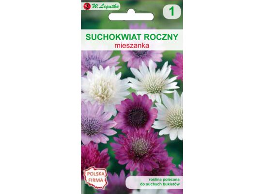 Suchokwiat roczny mieszanka 30-60 cm W.Legutko