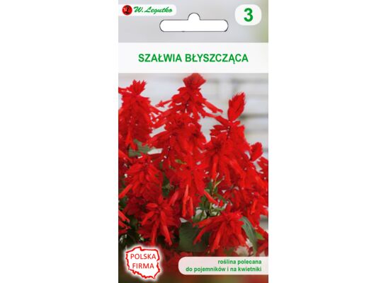 Nasiona szałwii błyszczącej czerwona 0,4 g gc. 3 W.Legutko