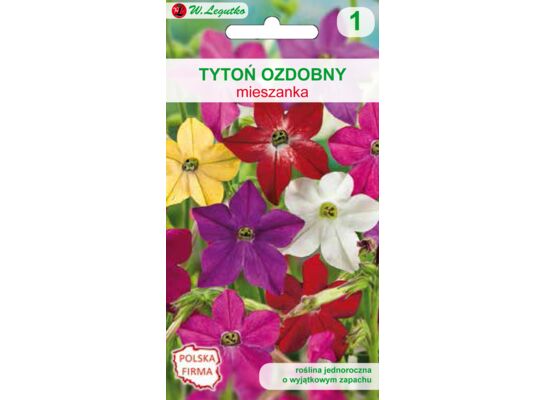Tytoń ozdobny mieszanka 40-100 cm W.Legutko