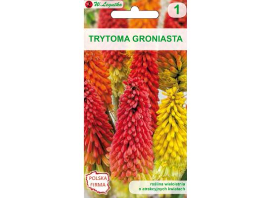 Trytoma groniasta czerwono-żółta 100 cm W.Legutko