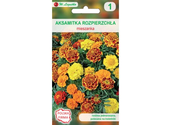 Aksamitka rozpierzchła mieszanka 20-30 cm W.Legutko