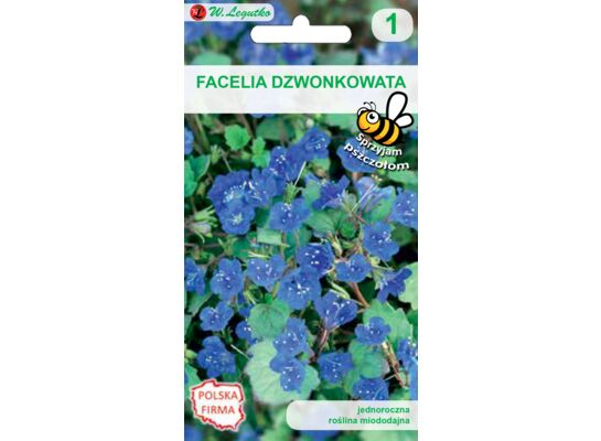 Nasiona facelia dzwonkowata 20-30 cm