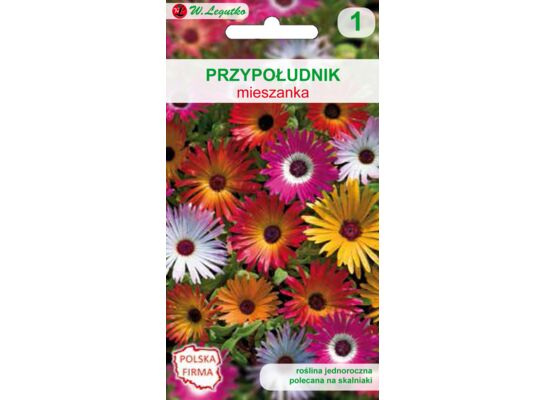 Przypołudnik mieszanka 10 cm W.Legutko