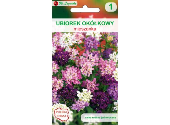 Ubiorek okółkowy mieszanka 25-30 cm W.Legutko