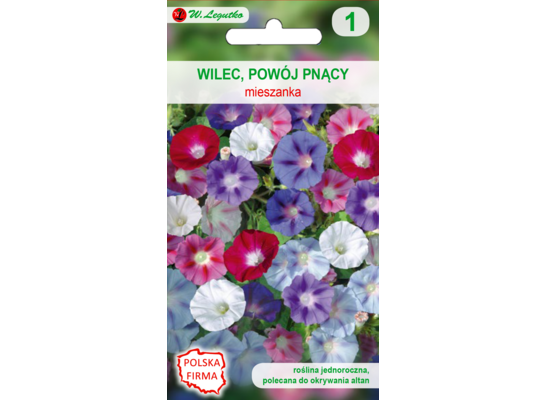 Wilec, Powój pnący mieszanka 250 cm W.Legutko