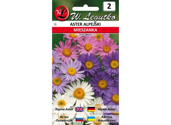 Aster alpejski mieszanka 20-30 cm W.Legutko