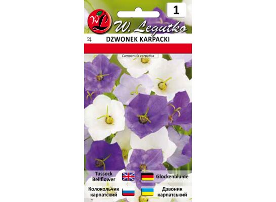 Dzwonek karpacki mieszanka 25-30 cm W.Legutko