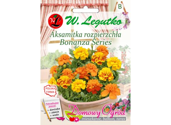 Aksamitka rozpierzchła Bonanza Series mieszanka 0,5 g gc. B W.Legutko