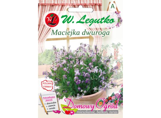 Maciejka dwuroga różowolawendowa 50 cm W.Legutko