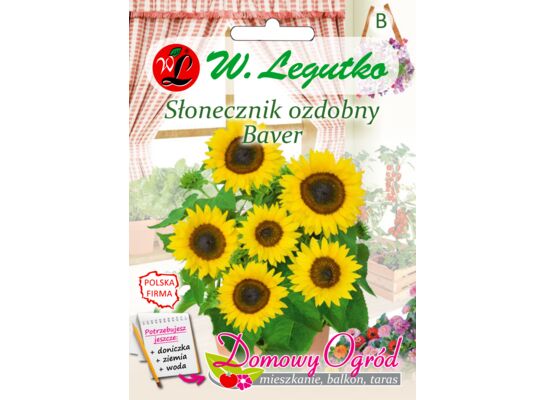 Słonecznik ozdobny karłowy, pojedynczy Baver 2 g gc. B W.Legutko