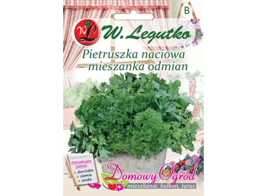 Pietruszka naciowa mieszanka odmian W.Legutko