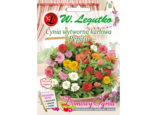 Cynia wytworna karłowa Pepito mieszanka 0,5 g gc. B W.Legutko