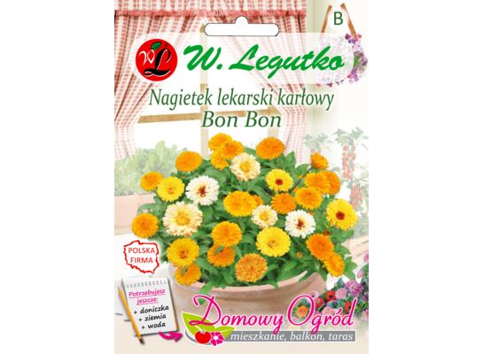 Nagietek lekarski karłowy Bon Bon mieszanka 2 g gc. B W.Legutko