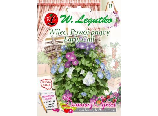Wilec, Powój pnący Early Call 2 g gc. B W.Legutko