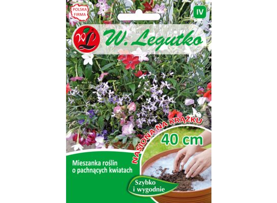 Mieszanka roślin ozdobnych o pachnących kwiatach na krążku 50 cm W.Legutko