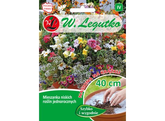Mieszanka niskich roślin jednorocznych na krążku 30 cm W.Legutko
