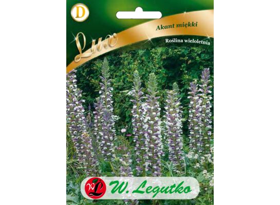 Akant miękki 75-100 cm W.Legutko
